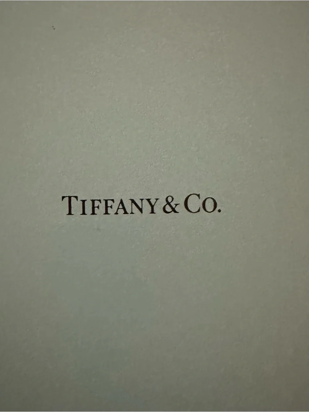 New Tiffany little blue Notebook